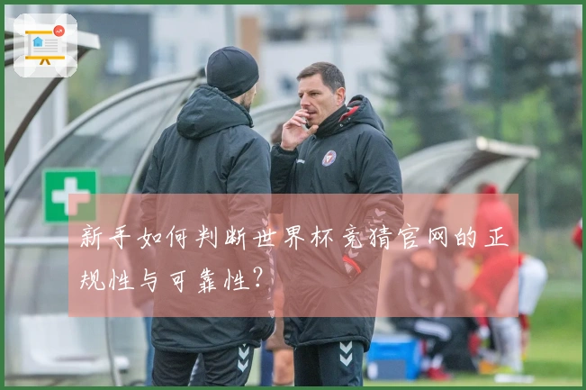 新手如何判断世界杯竞猜官网的正规性与可靠性？